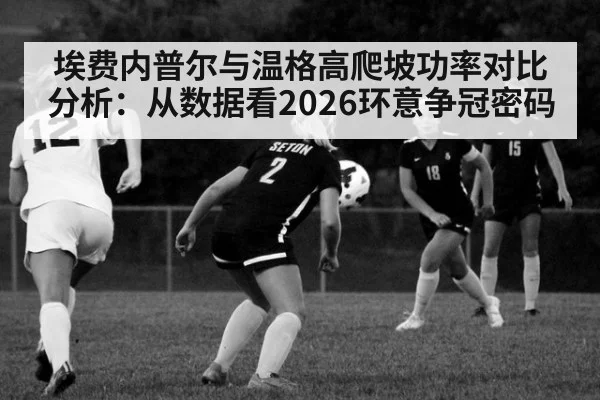 埃费内普尔与温格高爬坡功率对比分析：从数据看2026环意争冠密码