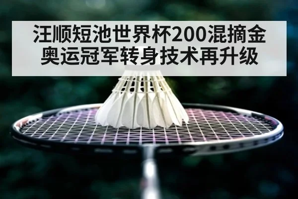 汪顺短池世界杯200混摘金 奥运冠军转身技术再升级